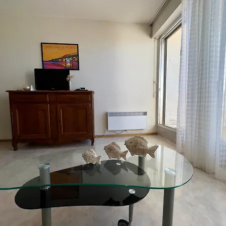 Apartamento Renove Avec Vue Mer, Acces Et Parking Prive - Fr-1-323-430