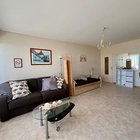 Apartamento Renove Avec Vue Mer, Acces Et Parking Prive - Fr-1-323-430