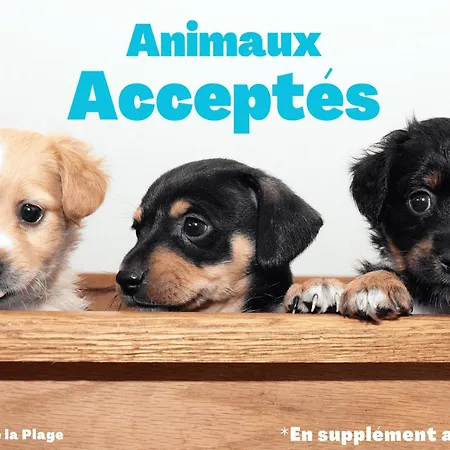 Appartement Rénové Avec Parking Et Animaux Admis à - Fr-1-323-430 Saint-Jean-de-Monts