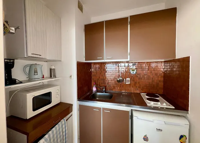 Renove Avec Vue Mer, Acces Et Parking Prive - Fr-1-323-430 *